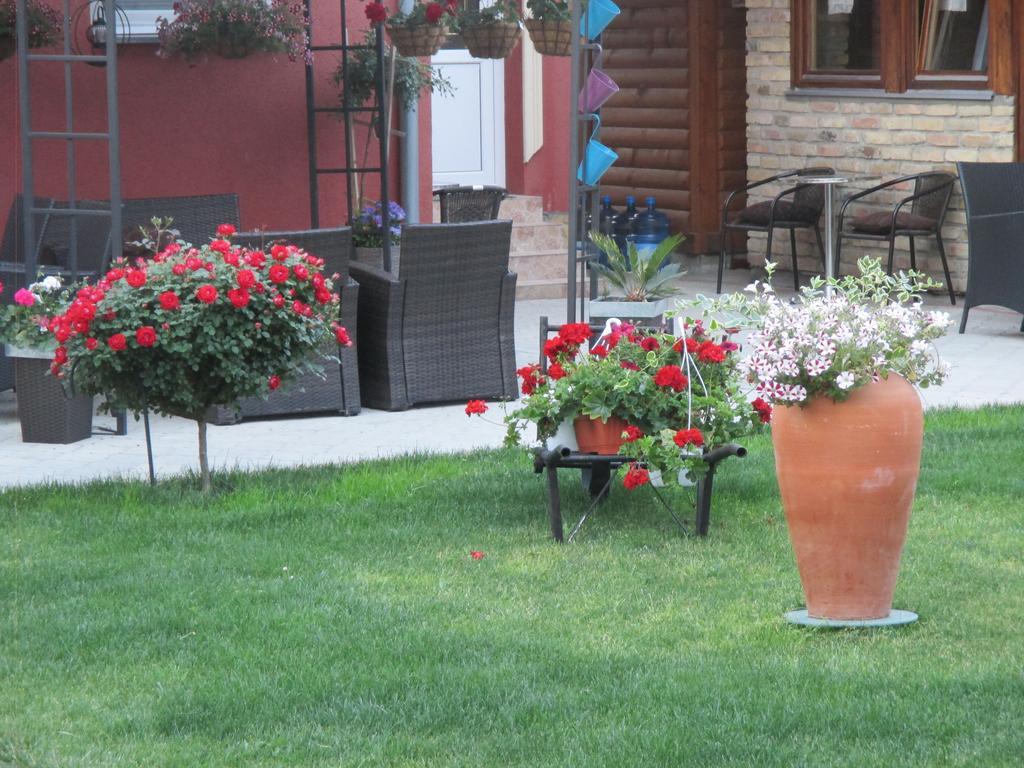 Vila Boska Palić Extérieur photo