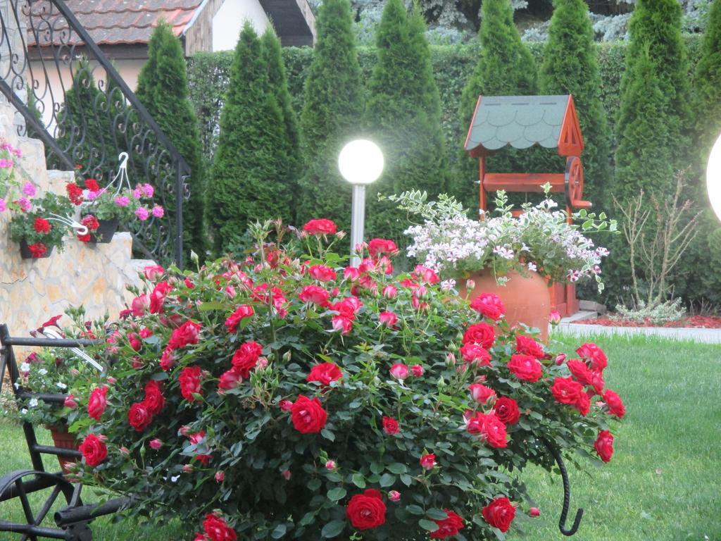 Vila Boska Palić Extérieur photo